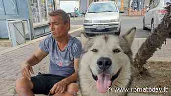 Ostia piange Ionel, il clochard che non si voleva ricoverare per non lasciare il suo cane
