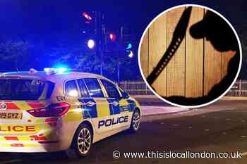 Sainsbury's Crayford fight: Victims attacked with machete