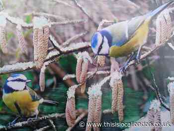 Nature Notes: Is spring in the air?