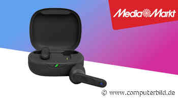 JBL Vibe 300: Kopfhörer für nur 49 Euro kaufen