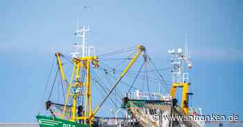 Lemke: Schweinswale und Seevögel in keinem gutem Zustand