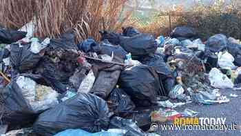 Abbandonano rifiuti in strada: nelle sacche la posta con i nomi degli zozzoni