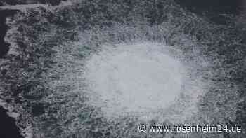 Nord-Stream-Explosionen: Duma-Chef will Vermögen einziehen