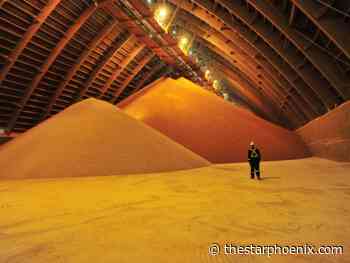 Nutrien to slightly delay potash production ramp-up as global sales slump