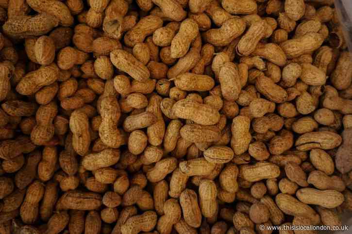 Allergies by David Isibor - Ilford County High School