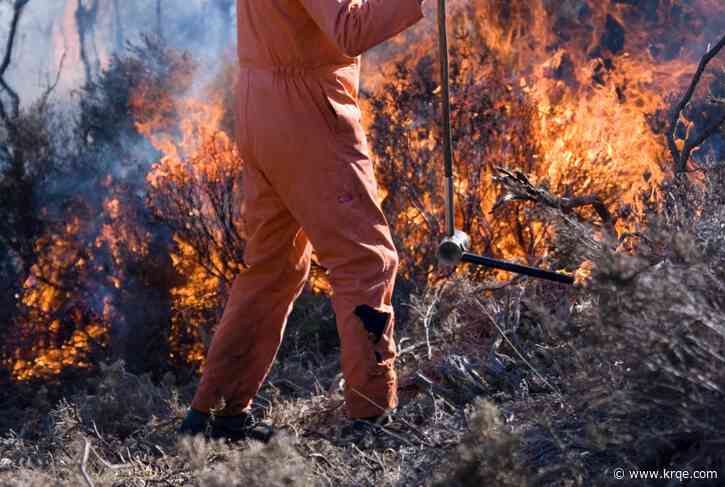 Prescribed burn planned in Socorro County through March