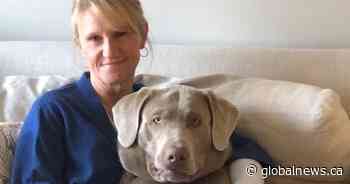 ‘Despicable and selfish act’: Impaired driver who killed Oakville mother about to be sentenced