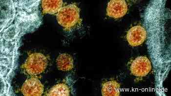 RKI: Corona-Inzidenz in Deutschland weiter auf niedrigem Niveau