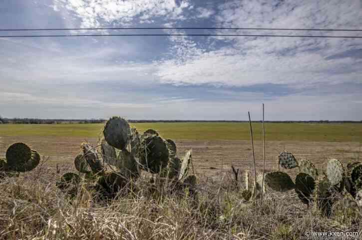 'Big dreamer' developer pursues $10 billion airport plan, plus Vegas-like resort near Tesla factory