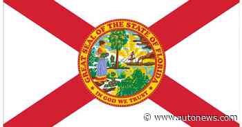 Eight injured in Florida auction lot vehicle crash