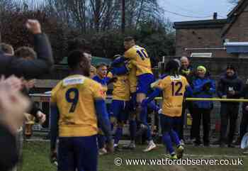 Plenty of local teams for Watford fans to watch on Saturday