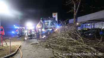 Bus kracht in Forstinning gegen Baum – mehrere Verletzte