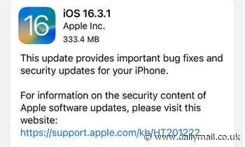 Apple vulnerabilities land on Homeland Security's warning list