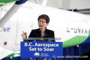 B.C. MLA the latest politician with mixed messaging for non-English media