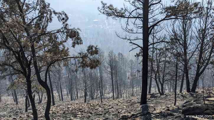 Wildfire recovery bills introduced during 56th New Mexico Legislature Session