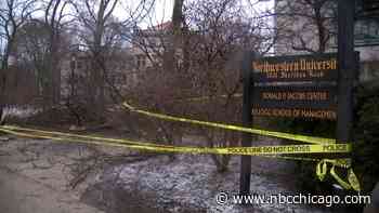 Tree Falls on Multiple People on Northwestern University's Evanston Campus; 4 Hurt