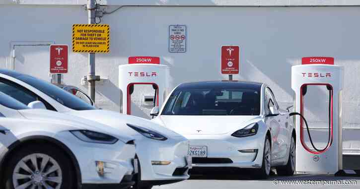 Solomon: Musk Goes from Tesla Win to Massive Loss as Automaker Recalls 363,000 Cars
