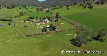 Meadow Creek sold after auction | Video