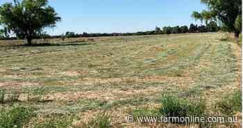 Late flurry of bids for Goulburn Valley farm block