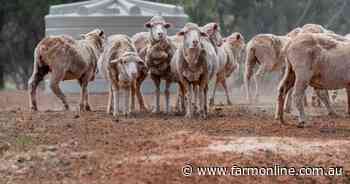 Rich in history, Old Koomooloo is up for auction