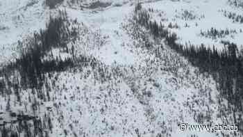 2 dead in avalanche near Golden, B.C.