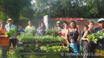 Community garden for immigrants in danger of being sold