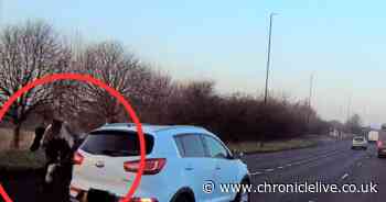 Horse dies after collision in North Tyneside as person trapped in vehicle