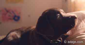 Behind The Farmer’s Dog’s unusual path to Super Bowl glory