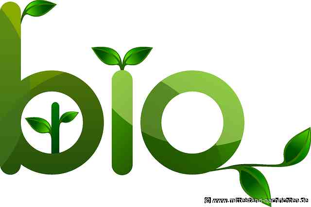 Nachhaltige Etiketten: Gut für die Umwelt und vegan