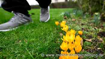 Wetter stellt auf Frühling um – Warmluft macht es möglich