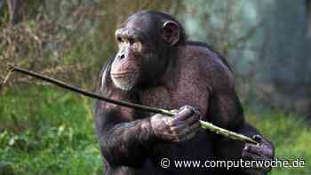 Toolformer: Metas KI-Sprachbot nutzt externe Software-Tools