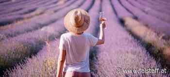 Falstaff Big Bottle Party 2023: Maison Saint Aix bringt die Provence nach Düsseldorf