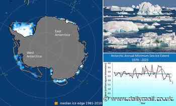 Antarctic sea ice levels are at their lowest on RECORD - and the worst is yet to come, report warns