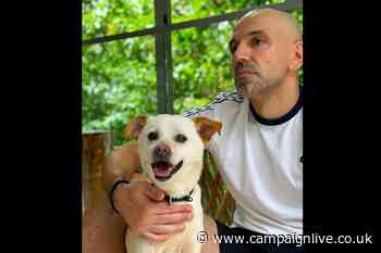 Gordon Domlija, his dog Harvey, and his exit from Wavemaker