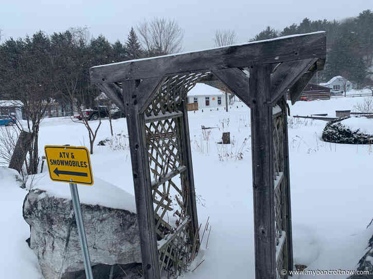 Bancroft Horticultural Society plants new ideas for Millennium Park garden