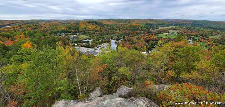 Bancroft to look out for Eagles Nest