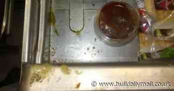 Takeaway owner hit with £2.5k fine for 'grim' conditions including grease encrusted equipment