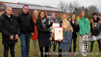 Schwülperaner fordern Bürgerentscheid zum Skateplatz