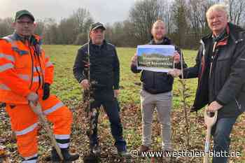 Neuer Bürgerwald für Halle