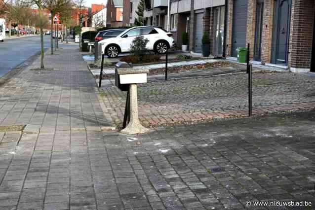 Antwerpse gemeentes willen meer groen in voortuinen: “Het enige wat we kunnen doen is de bevolking sensibiliseren”