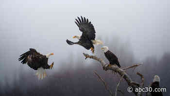 National Geographic unveils Pictures of the Year Photo Contest winners