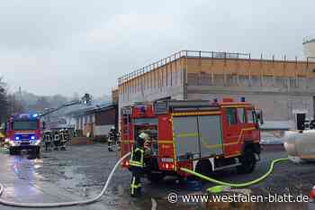 Erneut Großbrand bei Firma Hegers in Bad Wünnenberg