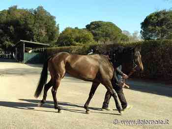 Ippica, incomincia il programma serio