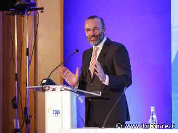 "Offende Berlusconi e fa il gioco della sinistra": scoppia la bufera su Weber