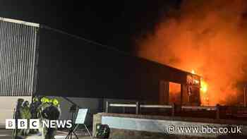 Little Totham: Six horses rescued as barn blazes