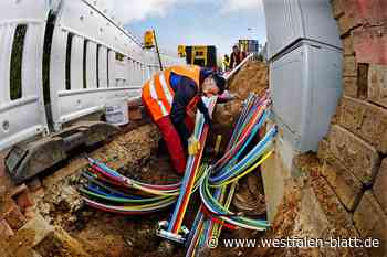Drei Firmen wollen in Warburg Glasfaser legen
