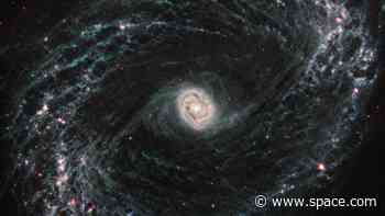 James Webb Space Telescope spies baby stars dancing in swirling gas and dust (photos)