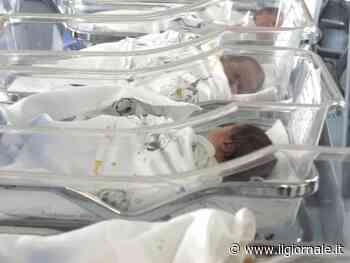 La bimba di 17 mesi ustionata con lo spray già tolta ai genitori