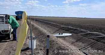 Study finds cotton industry has cut pesticide risk