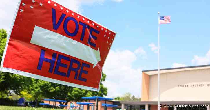 Judge Overrules Board of Elections' Refusal to Recount Ballots in Sharp Rebuke